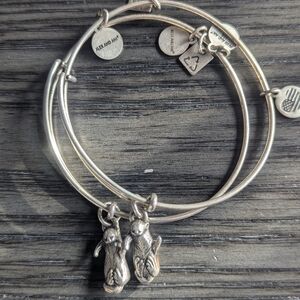 Alex and Ani Otter Set Bracelets